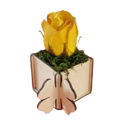 Cutie pentru aranjamente florale cu trifoi