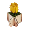 Cutie pentru aranjamente florale cu trifoi
