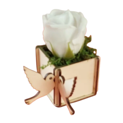 Cutie pentru aranjamente florale cu porumbei