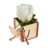 Cutie pentru aranjamente florale cu porumbei